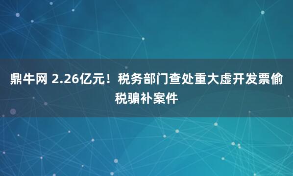 鼎牛网 2.26亿元！税务部门查处重大虚开发票偷税骗补案件