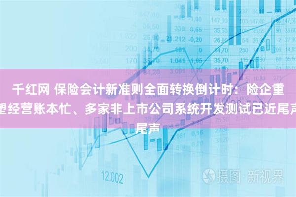 千红网 保险会计新准则全面转换倒计时：险企重塑经营账本忙、多家非上市公司系统开发测试已近尾声
