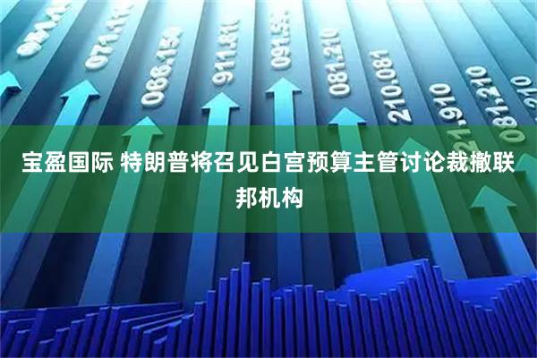 宝盈国际 特朗普将召见白宫预算主管讨论裁撤联邦机构
