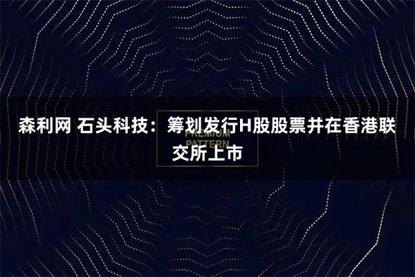 森利网 石头科技：筹划发行H股股票并在香港联交所上市